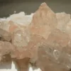 MDMA (Molly)